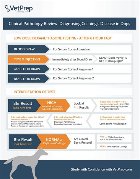 lushings compression test dog|cushing's disease testing results.